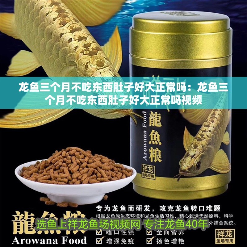 魚缸用增氧泵價格是多少:魚缸增氧機-xtrac增氧機-xtrac增氧機 龍魚三個月不吃東西肚子好大正常嗎:龍魚三個月不吃東西肚子好大正常嗎視頻 水族問答 龍魚三個月不吃東西肚子好大正常嗎:龍魚三個月不吃東西肚子好大正常嗎視頻 龍魚三個月不吃東西肚子好大正常嗎:龍魚三個月不吃東西肚子好大正常嗎視頻 水族問答