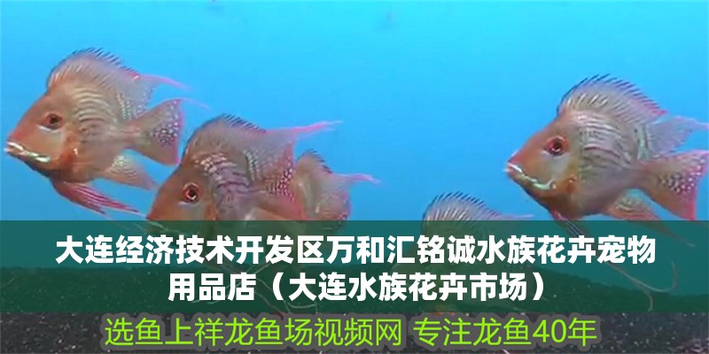 大連經(jīng)濟技術(shù)開發(fā)區(qū)萬和匯銘誠水族花卉寵物用品店（大連水族花卉市場） 大連經(jīng)濟技術(shù)開發(fā)區(qū)萬和匯銘誠水族花卉寵物用品店（大連水族花卉市場） 全國水族館企業(yè)名錄 第1張