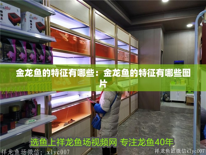 金龍魚的特征有哪些：金龍魚的特征有哪些圖片
