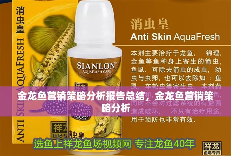 金龍魚營銷策略分析報(bào)告總結(jié)，金龍魚營銷策略分析