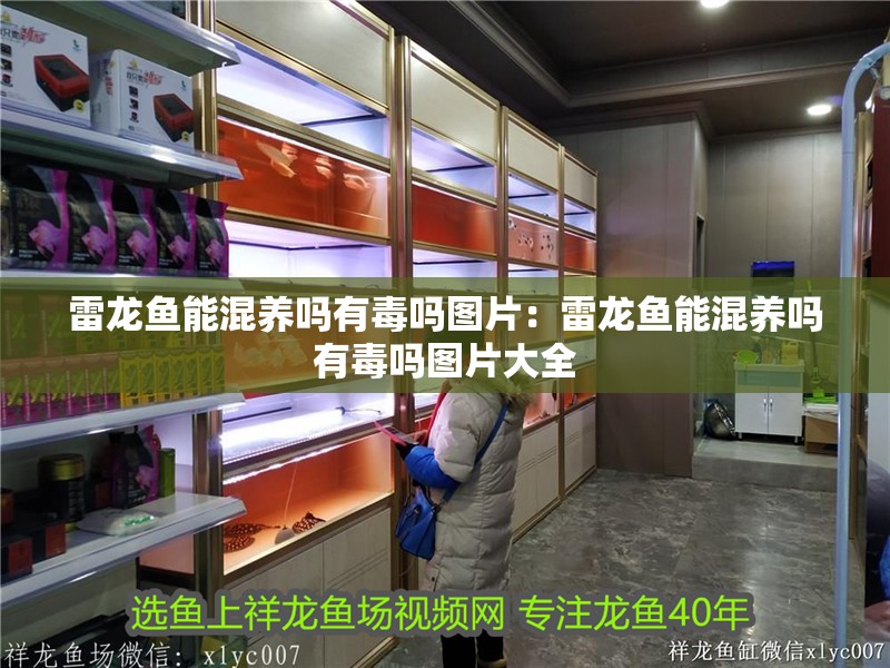 雷龍魚能混養(yǎng)嗎有毒嗎圖片：雷龍魚能混養(yǎng)嗎有毒嗎圖片大全