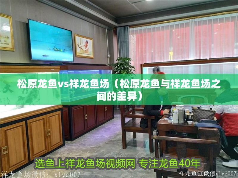 松原龍魚vs祥龍魚場(松原龍魚與祥龍魚場之間的差異) 全國水族館企業(yè)名錄 第1張 松原龍魚vs祥龍魚場(松原龍魚與祥龍魚場之間的差異) 松原龍魚vs祥龍魚場(松原龍魚與祥龍魚場之間的差異) 全國水族館企業(yè)名錄 第1張