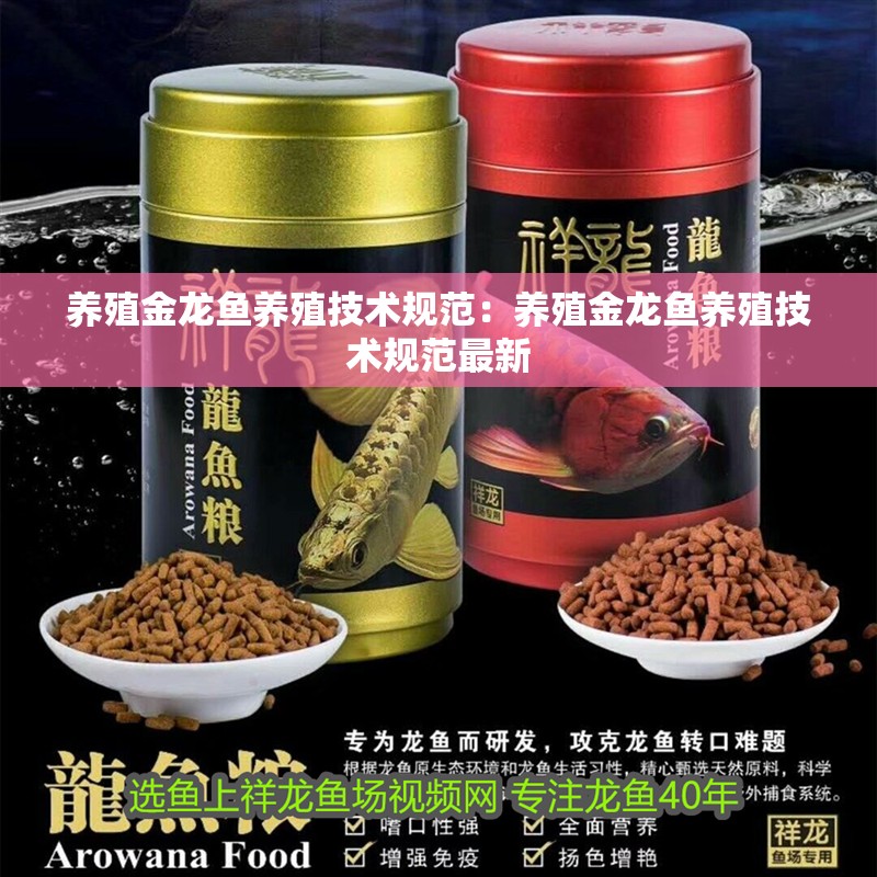 養(yǎng)殖金龍魚養(yǎng)殖技術(shù)規(guī)范：養(yǎng)殖金龍魚養(yǎng)殖技術(shù)規(guī)范最新