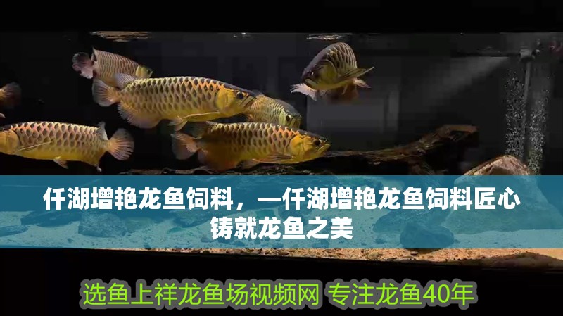 仟湖增艷龍魚飼料，—仟湖增艷龍魚飼料匠心鑄就龍魚之美