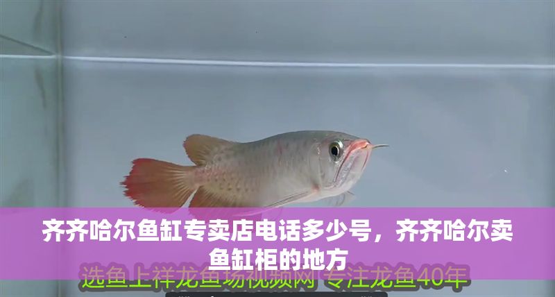 齊齊哈爾魚缸專賣店電話多少號，齊齊哈爾賣魚缸柜的地方 齊齊哈爾魚缸專賣店電話多少號，齊齊哈爾賣魚缸柜的地方 龍魚百科 第1張