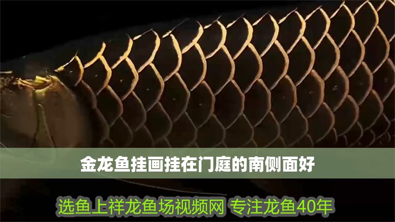 金龍魚掛畫掛在門庭的南側面好 金龍魚掛畫掛在門庭的南側面好 龍魚百科 第2張