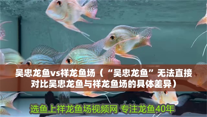 吳忠龍魚vs祥龍魚場（“吳忠龍魚”無法直接對比吳忠龍魚與祥龍魚場的具體差異）