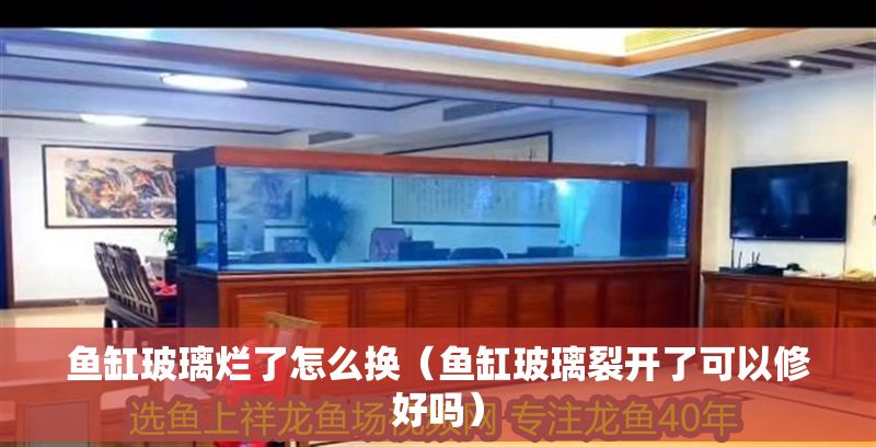 魚缸玻璃爛了怎么換（魚缸玻璃裂開了可以修好嗎） 魚缸玻璃爛了怎么換（魚缸玻璃裂開了可以修好嗎） 龍魚百科 第1張
