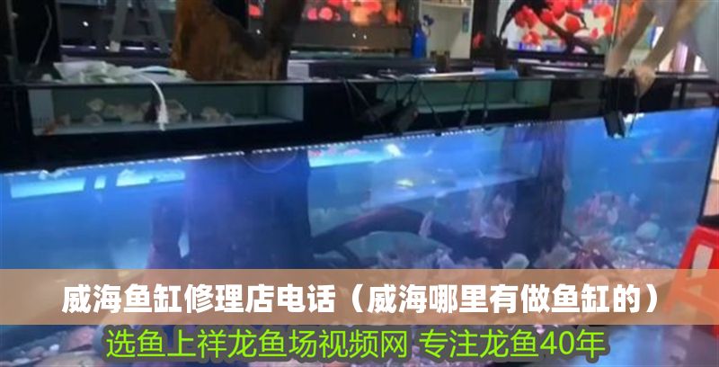 威海魚缸修理店電話（威海哪里有做魚缸的） 威海魚缸修理店電話（威海哪里有做魚缸的） 龍魚百科 第1張