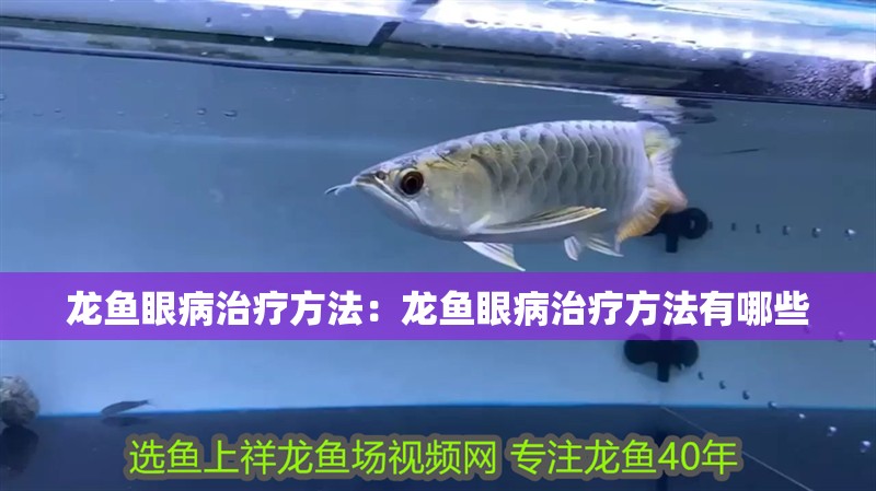 龍魚(yú)眼病治療方法：龍魚(yú)眼病治療方法有哪些 龍魚(yú)眼病治療方法：龍魚(yú)眼病治療方法有哪些 水族問(wèn)答