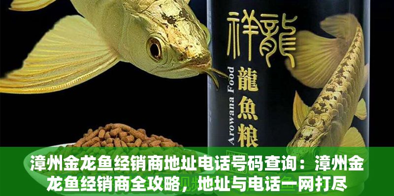 漳州金龍魚經銷商地址電話號碼查詢：漳州金龍魚經銷商全攻略，地址與電話一網打盡 漳州金龍魚經銷商地址電話號碼查詢：漳州金龍魚經銷商全攻略，地址與電話一網打盡 龍魚百科 第1張