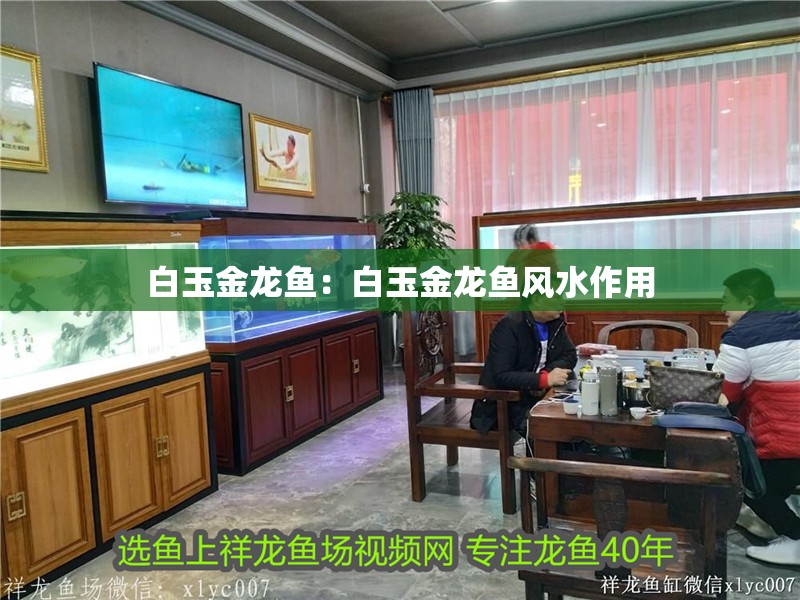 白玉金龍魚(yú)：白玉金龍魚(yú)風(fēng)水作用