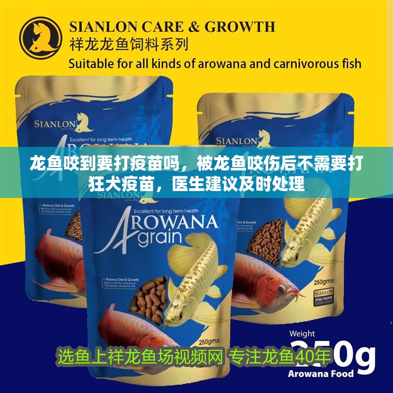 龍魚咬到要打疫苗嗎，被龍魚咬傷后不需要打狂犬疫苗，醫生建議及時處理 龍魚咬到要打疫苗嗎，被龍魚咬傷后不需要打狂犬疫苗，醫生建議及時處理 龍魚百科 第1張