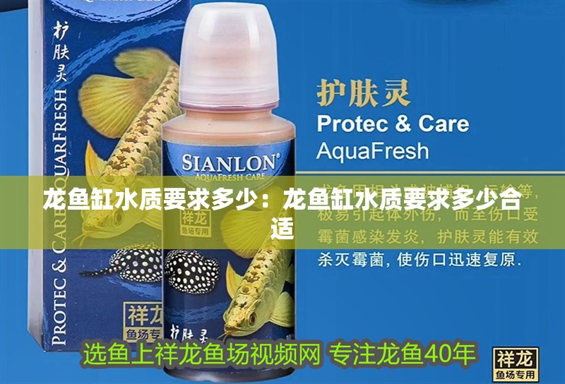 龍魚缸水質要求多少：龍魚缸水質要求多少合適