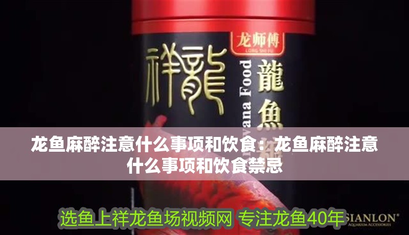 龍魚麻醉注意什么事項和飲食：龍魚麻醉注意什么事項和飲食禁忌