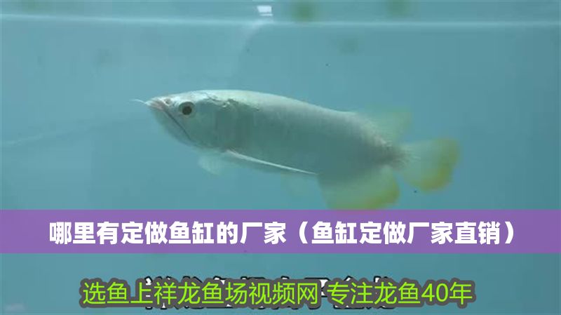 哪里有定做魚缸的廠家（魚缸定做廠家直銷）