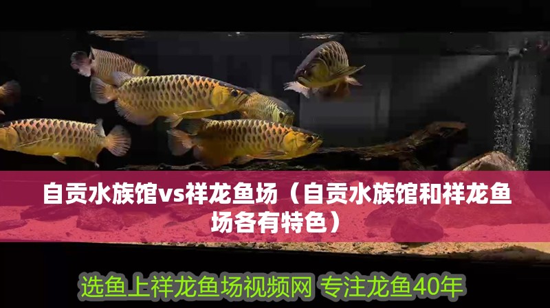自貢水族館vs祥龍魚場（自貢水族館和祥龍魚場各有特色）