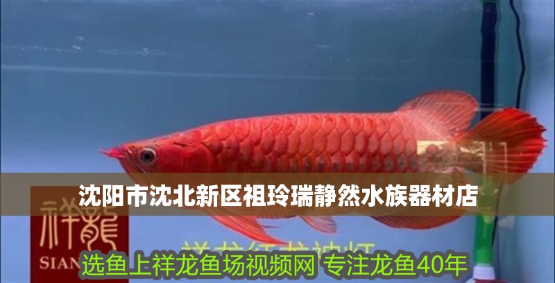 沈陽市沈北新區祖玲瑞靜然水族器材店