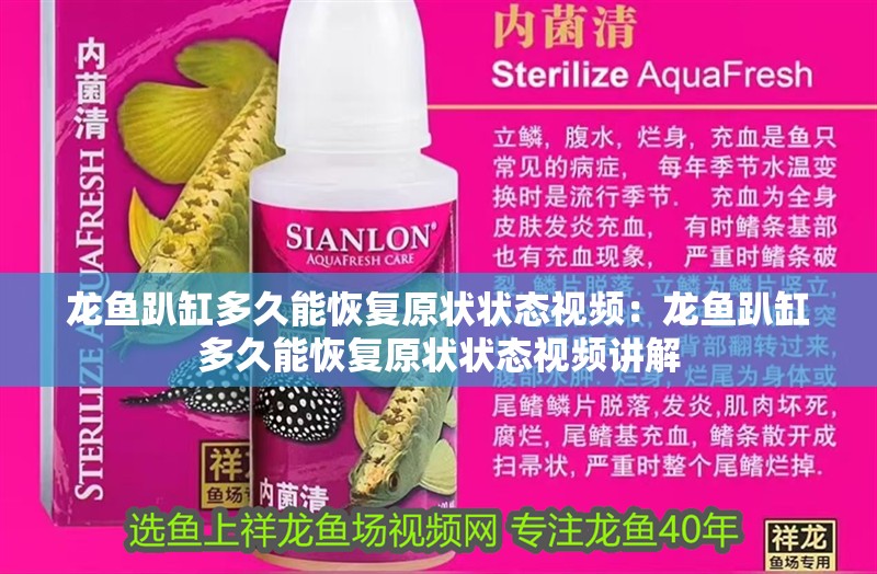 龍魚趴缸多久能恢復(fù)原狀狀態(tài)視頻：龍魚趴缸多久能恢復(fù)原狀狀態(tài)視頻講解