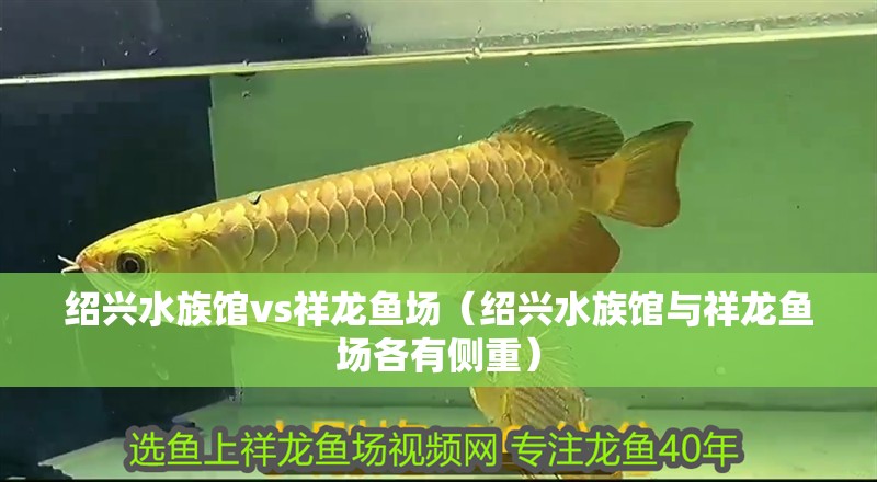 紹興水族館vs祥龍魚場（紹興水族館與祥龍魚場各有側重）