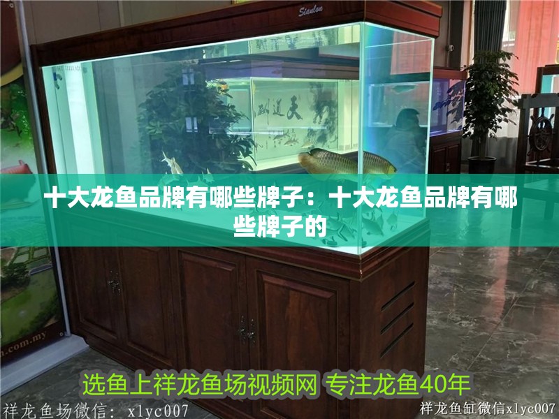 十大龍魚品牌有哪些牌子：十大龍魚品牌有哪些牌子的