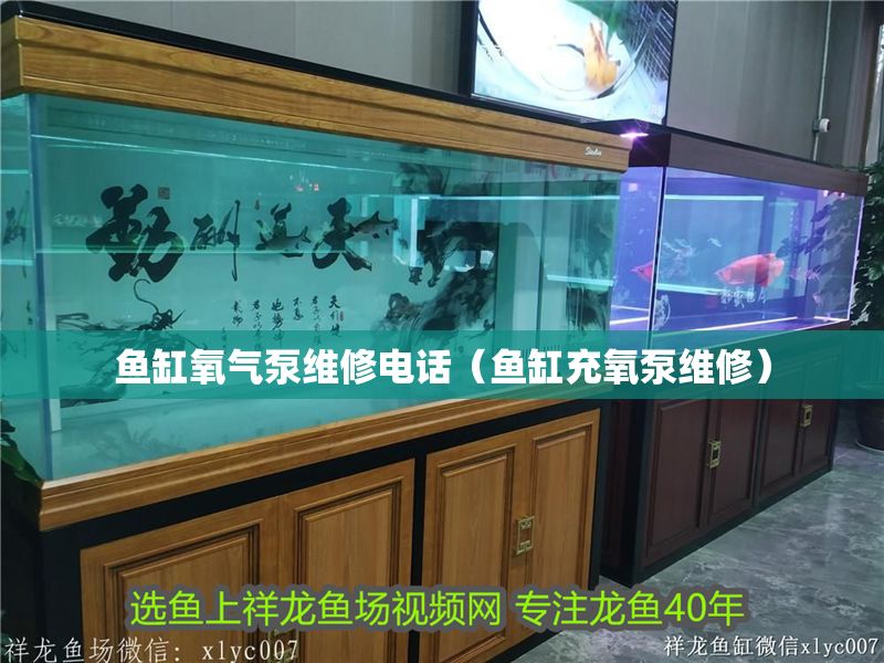 魚缸氧氣泵維修電話(魚缸充氧泵維修) 龍魚百科 第1張 魚缸氧氣泵維修電話(魚缸充氧泵維修) 魚缸氧氣泵維修電話(魚缸充氧泵維修) 龍魚百科 第1張