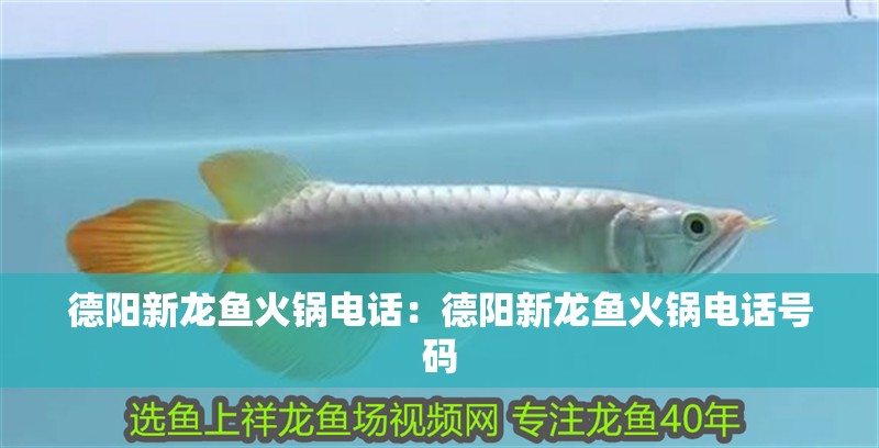 德陽新龍魚火鍋電話：德陽新龍魚火鍋電話號(hào)碼
