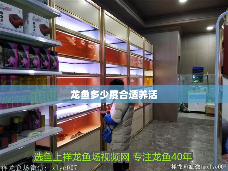 龍魚多少度合適養活