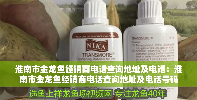 淮南市金龍魚經(jīng)銷商電話查詢地址及電話：淮南市金龍魚經(jīng)銷商電話查詢地址及電話號碼