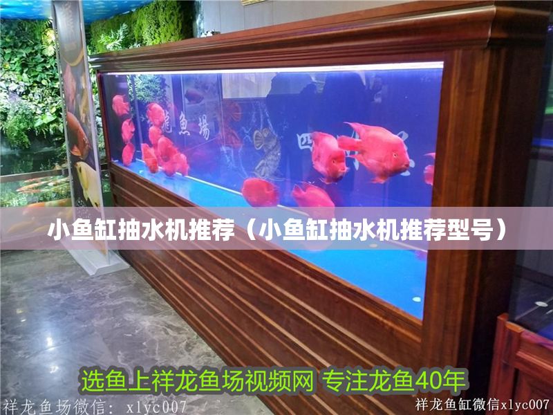 小魚缸抽水機推薦（小魚缸抽水機推薦型號）