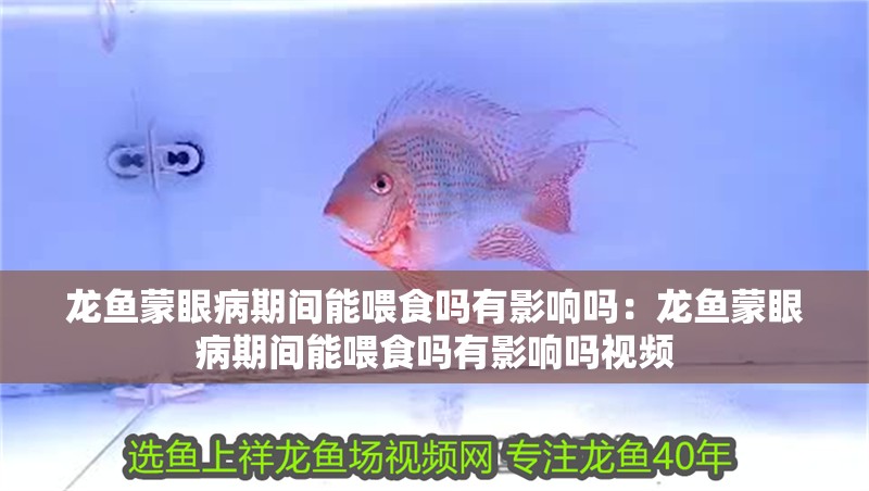 龍魚蒙眼病期間能喂食嗎有影響嗎：龍魚蒙眼病期間能喂食嗎有影響嗎視頻 龍魚蒙眼病期間能喂食嗎有影響嗎：龍魚蒙眼病期間能喂食嗎有影響嗎視頻 水族問答