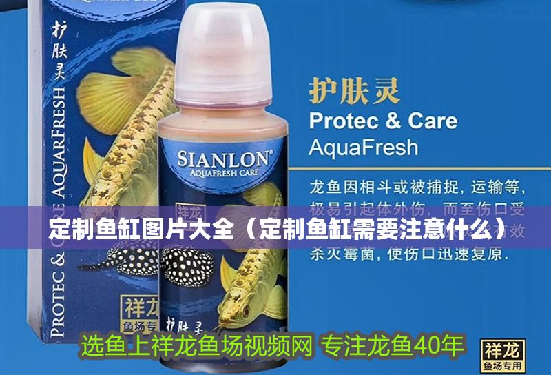 定制魚缸圖片大全（定制魚缸需要注意什么）