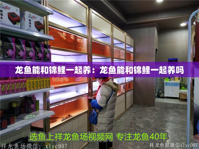 龍魚能和錦鯉一起養：龍魚能和錦鯉一起養嗎 龍魚能和錦鯉一起養：龍魚能和錦鯉一起養嗎 水族問答