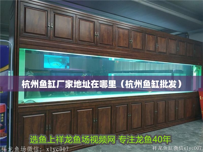 杭州魚缸廠家地址在哪里（杭州魚缸批發(fā)） 杭州魚缸廠家地址在哪里（杭州魚缸批發(fā)） 龍魚百科 第1張