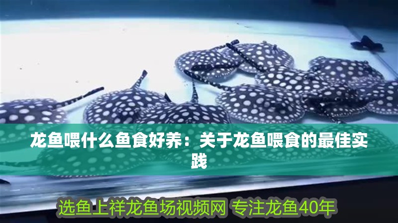 龍魚喂什么魚食好養：關于龍魚喂食的最佳實踐