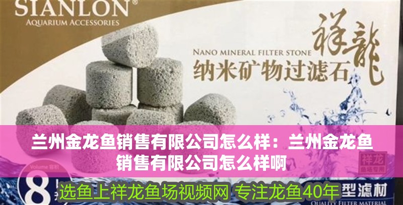 蘭州金龍魚銷售有限公司怎么樣：蘭州金龍魚銷售有限公司怎么樣啊 蘭州金龍魚銷售有限公司怎么樣：蘭州金龍魚銷售有限公司怎么樣啊 水族問答