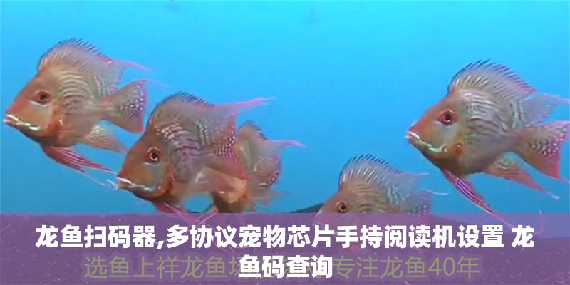 龍魚掃碼器,多協議寵物芯片手持閱讀機設置 龍魚碼查詢