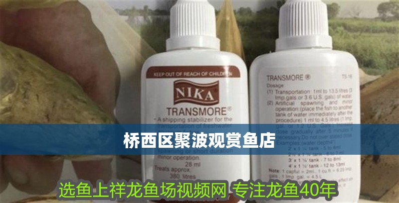 橋西區(qū)聚波觀賞魚店 全國水族館企業(yè)名錄 第2張 橋西區(qū)聚波觀賞魚店 橋西區(qū)聚波觀賞魚店 全國水族館企業(yè)名錄 第2張