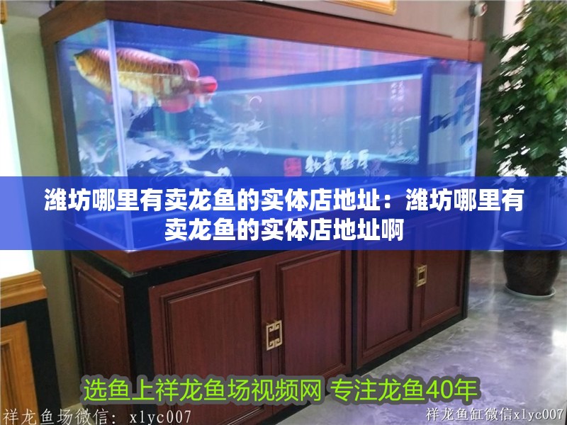 濰坊哪里有賣龍魚的實體店地址：濰坊哪里有賣龍魚的實體店地址啊