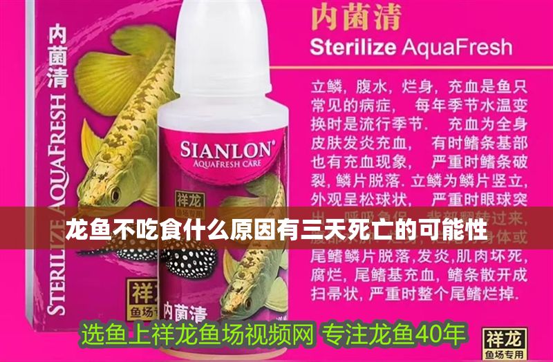 龍魚不吃食什么原因有三天死亡的可能性