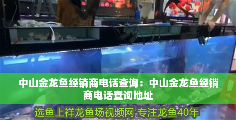 中山金龍魚經銷商電話查詢：中山金龍魚經銷商電話查詢地址 中山金龍魚經銷商電話查詢：中山金龍魚經銷商電話查詢地址 水族問答