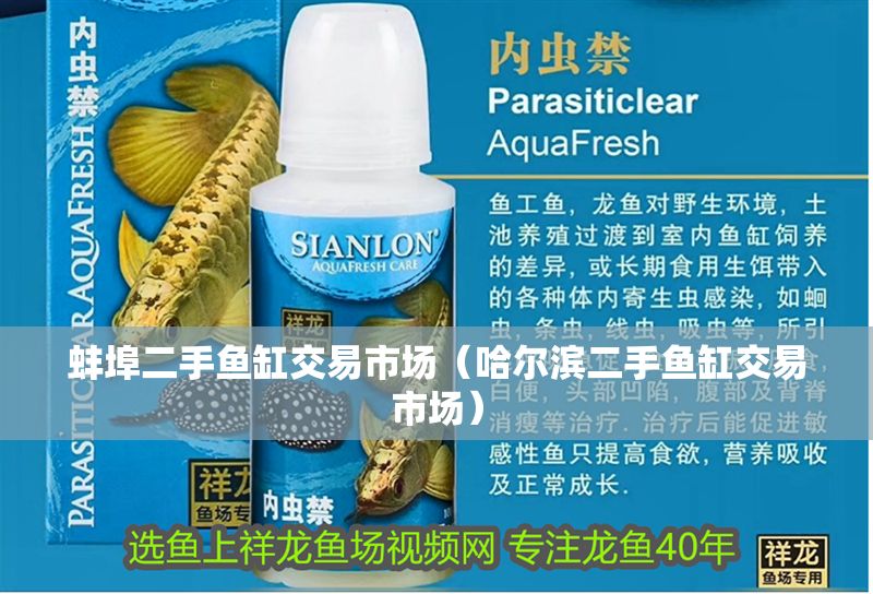 蚌埠二手魚缸交易市場(哈爾濱二手魚缸交易市場) 龍魚百科 第1張 蚌埠二手魚缸交易市場(哈爾濱二手魚缸交易市場) 蚌埠二手魚缸交易市場(哈爾濱二手魚缸交易市場) 龍魚百科 第1張