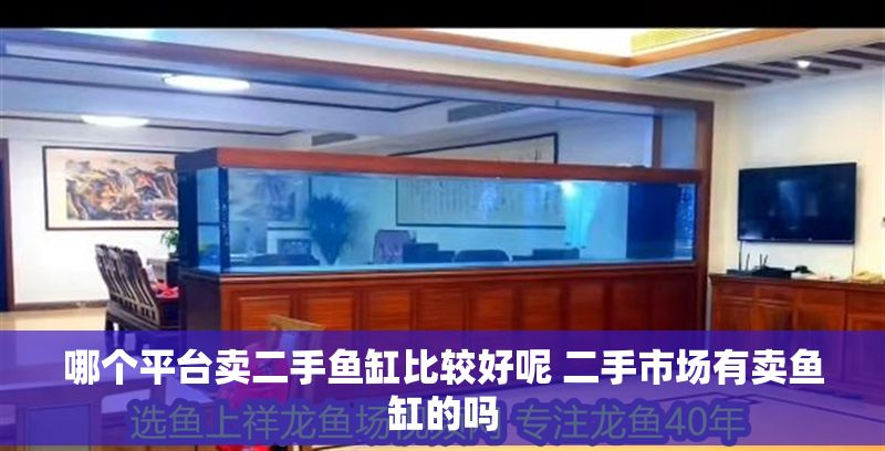 哪個(gè)平臺(tái)賣二手魚(yú)缸比較好呢 二手市場(chǎng)有賣魚(yú)缸的嗎