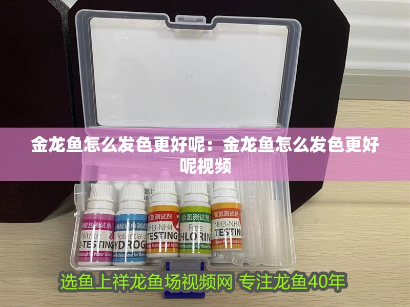 金龍魚怎么發(fā)色更好呢：金龍魚怎么發(fā)色更好呢視頻