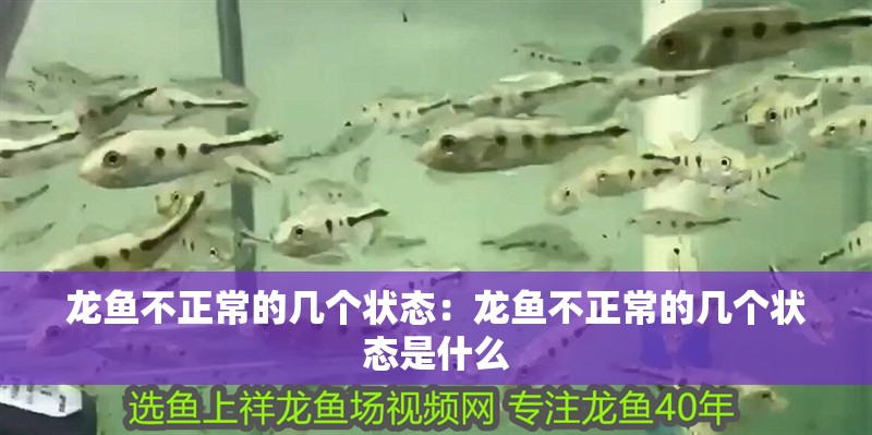 龍魚不正常的幾個狀態：龍魚不正常的幾個狀態是什么