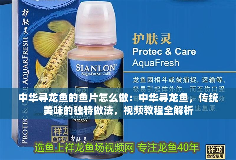 中華尋龍魚的魚片怎么做：中華尋龍魚，傳統(tǒng)美味的獨特做法，視頻教程全解析