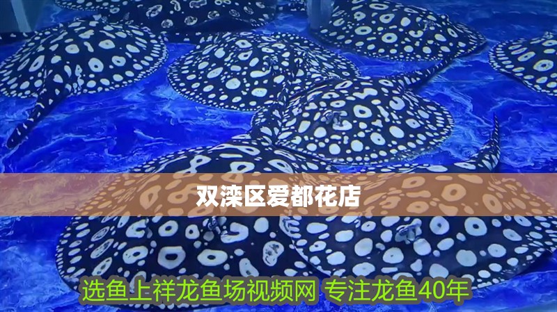 雙灤區愛都花店