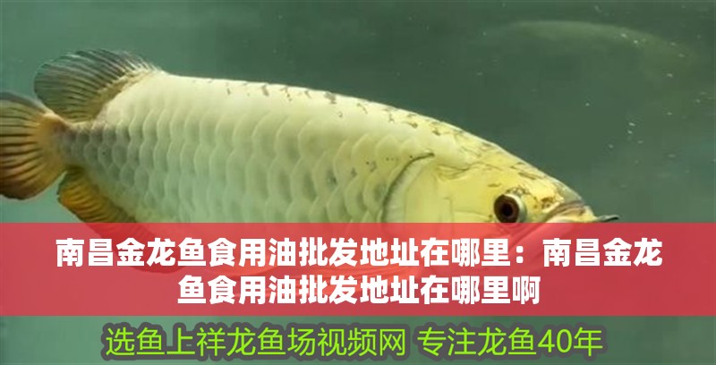 愛唯希魚缸怎么樣好用嗎視頻教學（愛唯希魚缸怎么樣好用嗎視頻教學全集）
