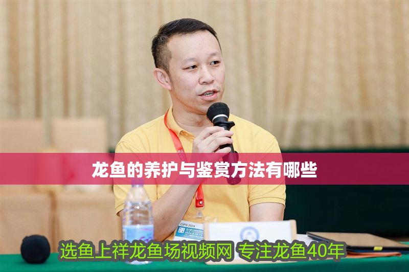 龍魚的養護與鑒賞方法有哪些