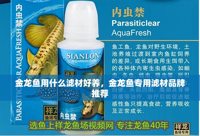 金龍魚用什么濾材好養，金龍魚專用濾材品牌推薦